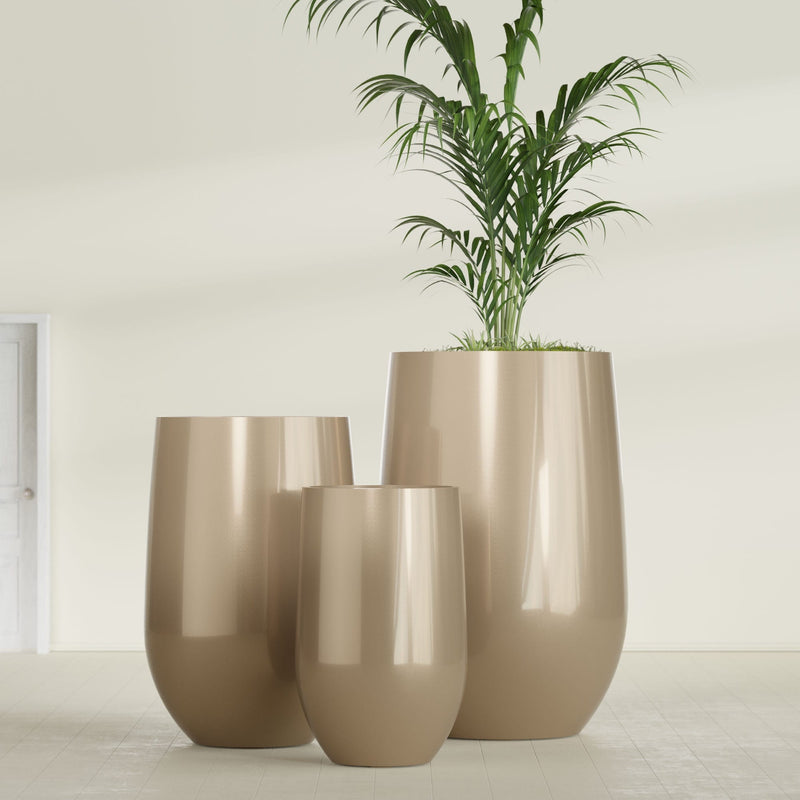 Westfield High Image