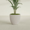 Tapered Round - 33in diam. x 29in - StoneLight - Pearlstone - StoneLight - Pearlstone,33 in x 33 in x 29 in