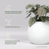 Globe Large Sphere Fiberglass Planter - 30 in x 30 in x 24 in - Gloss White - Gloss White,30 in x 30 in x 24 in