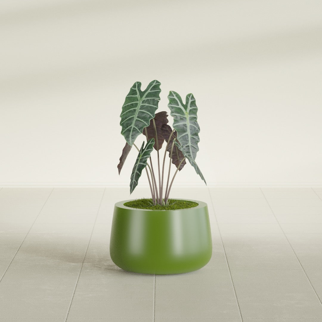 Short Hayden Small Round Fiberglass Planter - 12 in x 12 in x 7 in - Satin Green - Satin Green,12 in x 12 in x 7 in