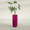 Saint Tropez Large Tall Round Fiberglass Planter - 16 in x 16 in x 38 in - Gloss Eggplant - Gloss Eggplant,16 in x 16 in x 38 in