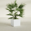 Montroy Medium Cube Square Fiberglass Planter - 24 in x 24 in x 24 in - Matte White - Matte White,24 in x 24 in x 24 in