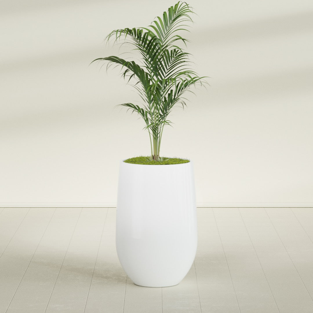 Westfield - 20in diam. x 30in - Matte White - Matte White,20 in diam. x 30 in H