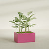 Torino Large Wide Rectangle Fiberglass Planter - 36 in x 24 in x 18 in - Gloss Pink Violet - Gloss Pink Violet,36 in x 24 in x 18 in