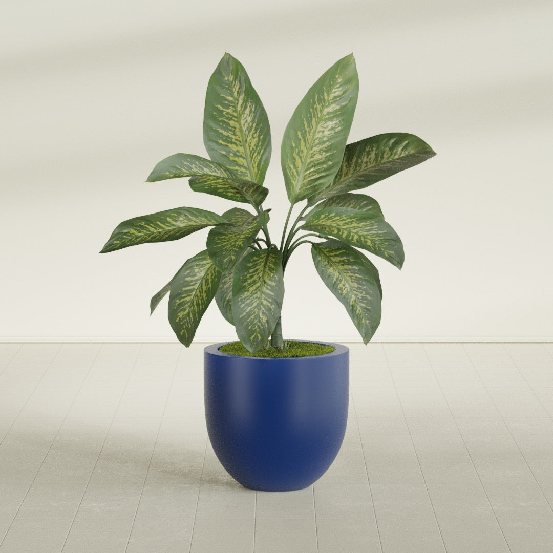 Alzira Medium Round Fiberglass Planter - 23 in x 23 in x 22 in - Matte Cobalt Blue - Matte Cobalt Blue,23 in x 23 in x 22 in