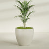 Wannsee Extra Large Round Fiberglass Planter - 50 in x 50 in x 44 in - Satin Beige - Satin Beige,50 in x 50 in x 44 in