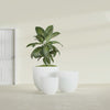 Alzira Medium Round Fiberglass Planter - 23 in x 23 in x 22 in - Matte White - Matte White,23 in x 23 in x 22 in