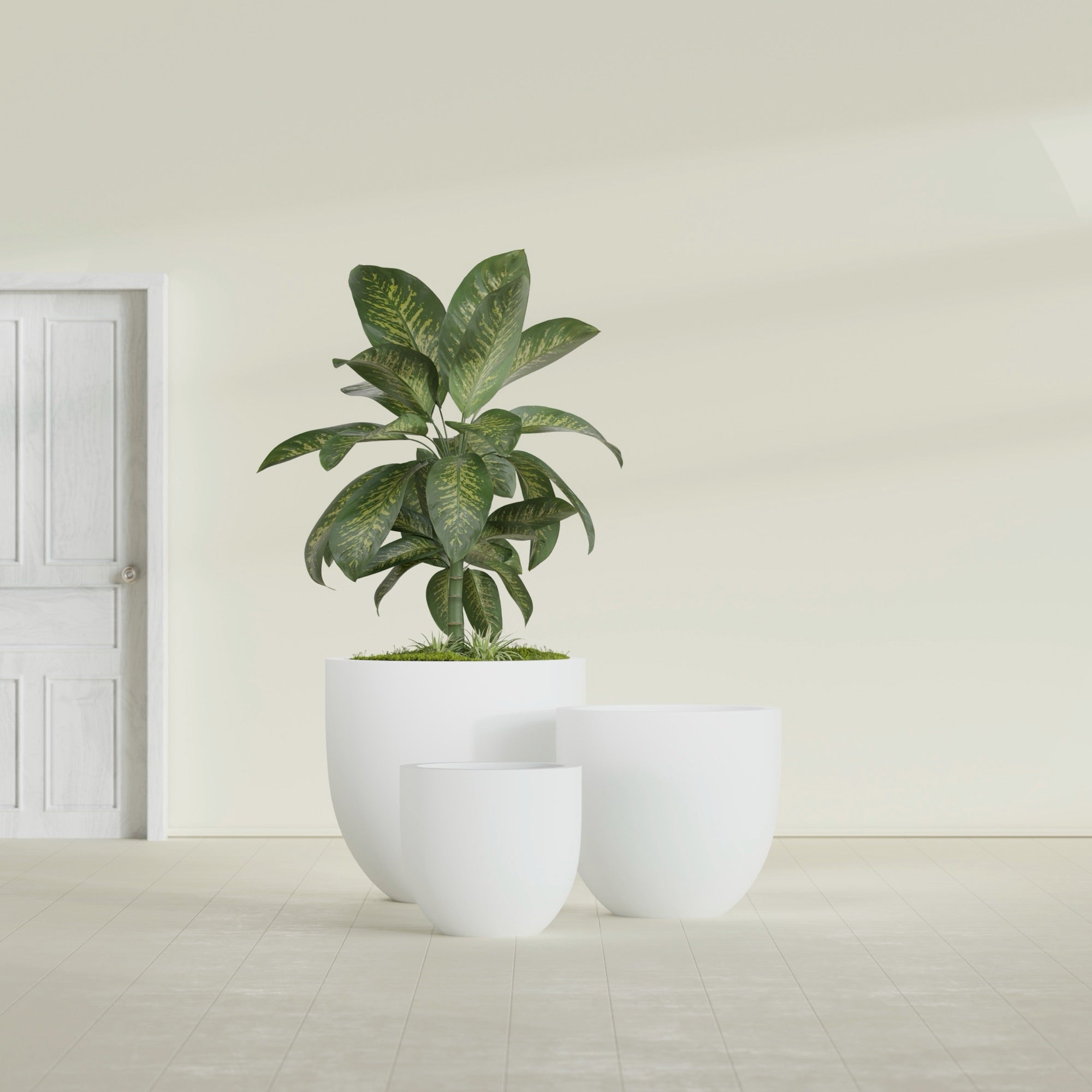 Alzira Medium Round Fiberglass Planter - 23 in x 23 in x 22 in - Matte White - Matte White,23 in x 23 in x 22 in