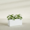 Miami Large Narrow Rectangle Fiberglass Planter - 36 in x 12 in x 18 in - Matte White - Matte White,36 in x 12 in x 18 in