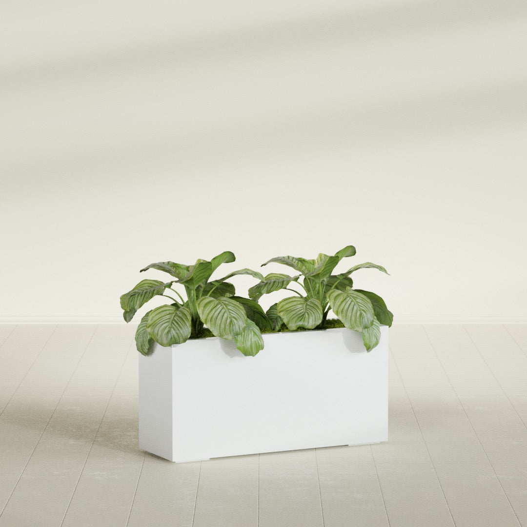 Miami Large Narrow Rectangle Fiberglass Planter - 36 in x 12 in x 18 in - Matte White - Matte White,36 in x 12 in x 18 in