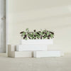 Salon Large Tall Rectangle Fiberglass Planter - 36 in x 8 in x 8 in - Gloss White - Gloss White,36 in x 8 in x 8 in