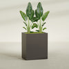Darwin Large Rectangle Fiberglass Planter - 36 in x 24 in x 42 in - Matte Brown - Matte Brown,36 in x 24 in x 42 in