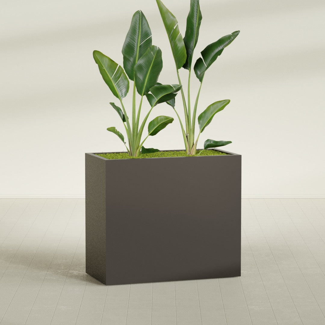 Darwin Extra Large Rectangle Fiberglass Planter - 48 in x 24 in x 42 in - Matte Brown - Matte Brown,48 in x 24 in x 42 in
