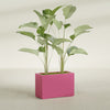 Tolga Large Rectangle Fiberglass Planter - 36 in x 16 in x 24 in - Gloss Pink Violet - Gloss Pink Violet,36 in x 16 in x 24 in