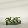 Salon Large Tall Rectangle Fiberglass Planter - 36 in x 8 in x 8 in - Matte Charcoal - Matte Charcoal,36 in x 8 in x 8 in