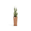 Rotterdam High Medium Square Planter - 12.6 in x 12.6 in x 27.5 in - Planter + Saucer - Terracotta - Terracotta,12.5 in x 12.5 in x 27.5 in,Planter + Saucer