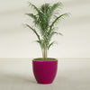 Wannsee Large Round Fiberglass Planter - 33 in x 33 in x 29 in - Gloss Eggplant - Gloss Eggplant,33 in x 33 in x 29 in