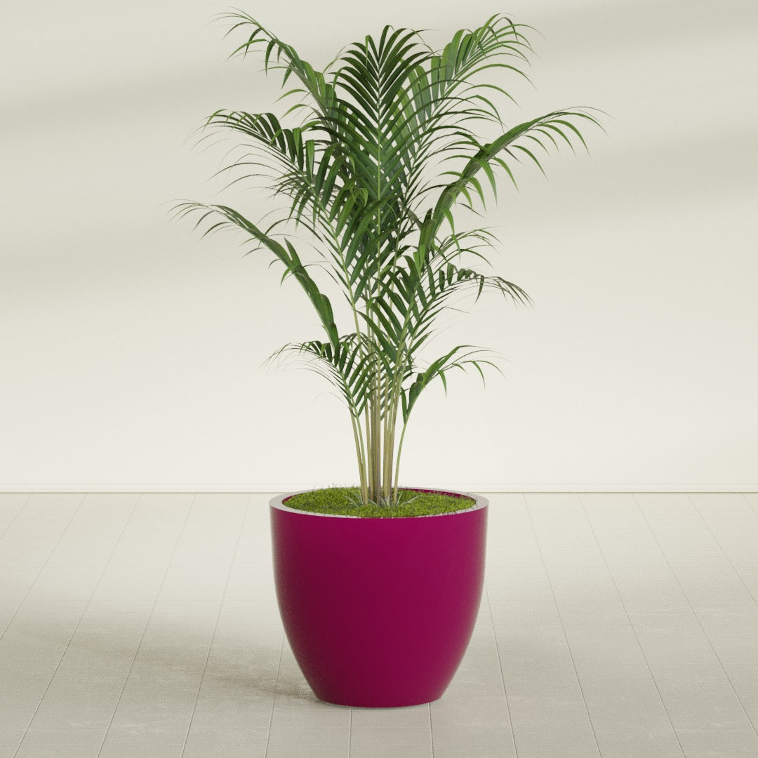 Wannsee Large Round Fiberglass Planter - 33 in x 33 in x 29 in - Gloss Eggplant - Gloss Eggplant,33 in x 33 in x 29 in