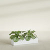 Salon Large Tall Rectangle Fiberglass Planter - 36 in x 8 in x 8 in - Gloss White - Gloss White,36 in x 8 in x 8 in