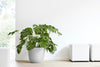 Oslo Small Round Planter - 13.8 in x 13.8 in x 12 in - White Grey - White Grey,13.75 in x 13.75 in x 12 in,Planter Only