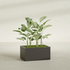 Torino Large Wide Rectangle Fiberglass Planter - 36 in x 24 in x 18 in - Matte Brown - Matte Brown,36 in x 24 in x 18 in