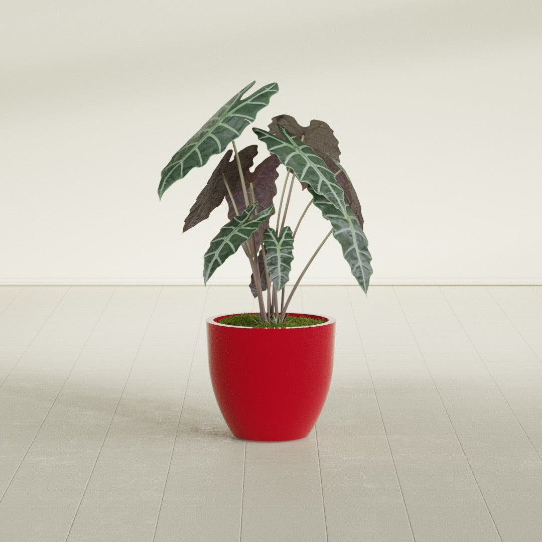 Wannsee Medium Round Fiberglass Planter - 22 in x 22 in x 19 in - Gloss Red - Gloss Red,22 in x 22 in x 19 in