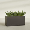 Brisbane Extra Large Long Rectangle Fiberglass Planter - 60 in x 24 in x 32 in - Matte Brown - Matte Brown,60 in x 24 in x 32 in