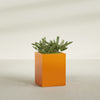 Brisbane Large Rectangle Fiberglass Planter - 24 in x 24 in x 32 in - Gloss Tangerine - Gloss Tangerine,24 in x 24 in x 32 in