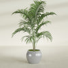 Fishbowl Small Round Fiberglass Planter - 16 in x 16 in x 14 in - Metallic Silver - Metallic Silver,16 in x 16 in x 14 in