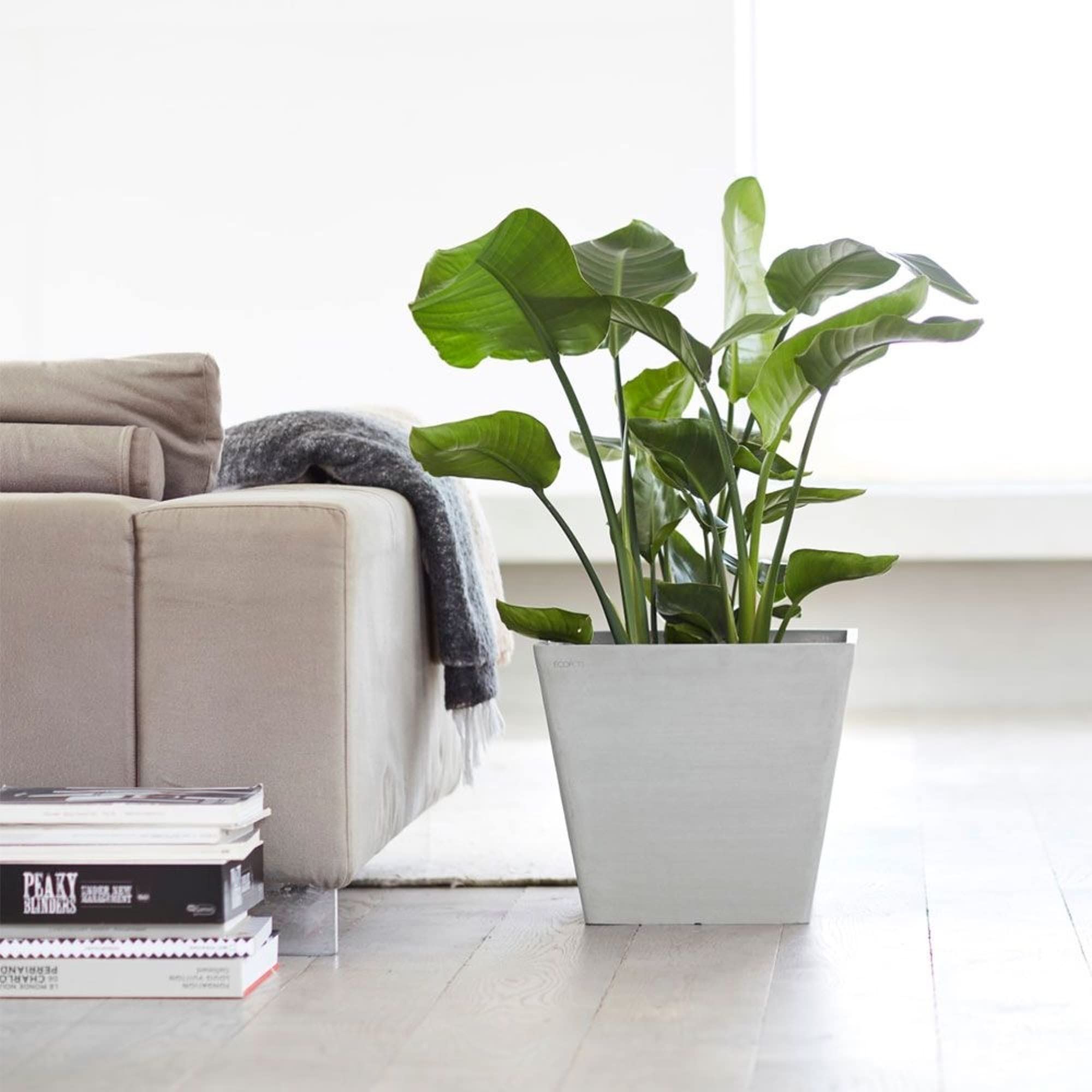 Rotterdam Small Square Planter - 15.75 in x 15.75 in x 13.75 in - White Grey - White Grey,15.75 in x 15.75 in x 13.75 in,Planter Only