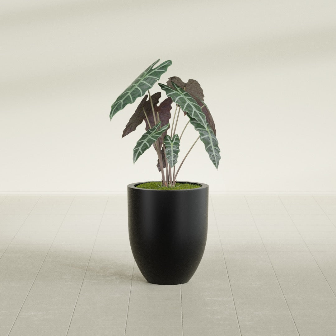 Valencia Small Round Fiberglass Planter - 15 in x 15 in x 18 in - Matte Black - Matte Black,15 in x 15 in x 18 in