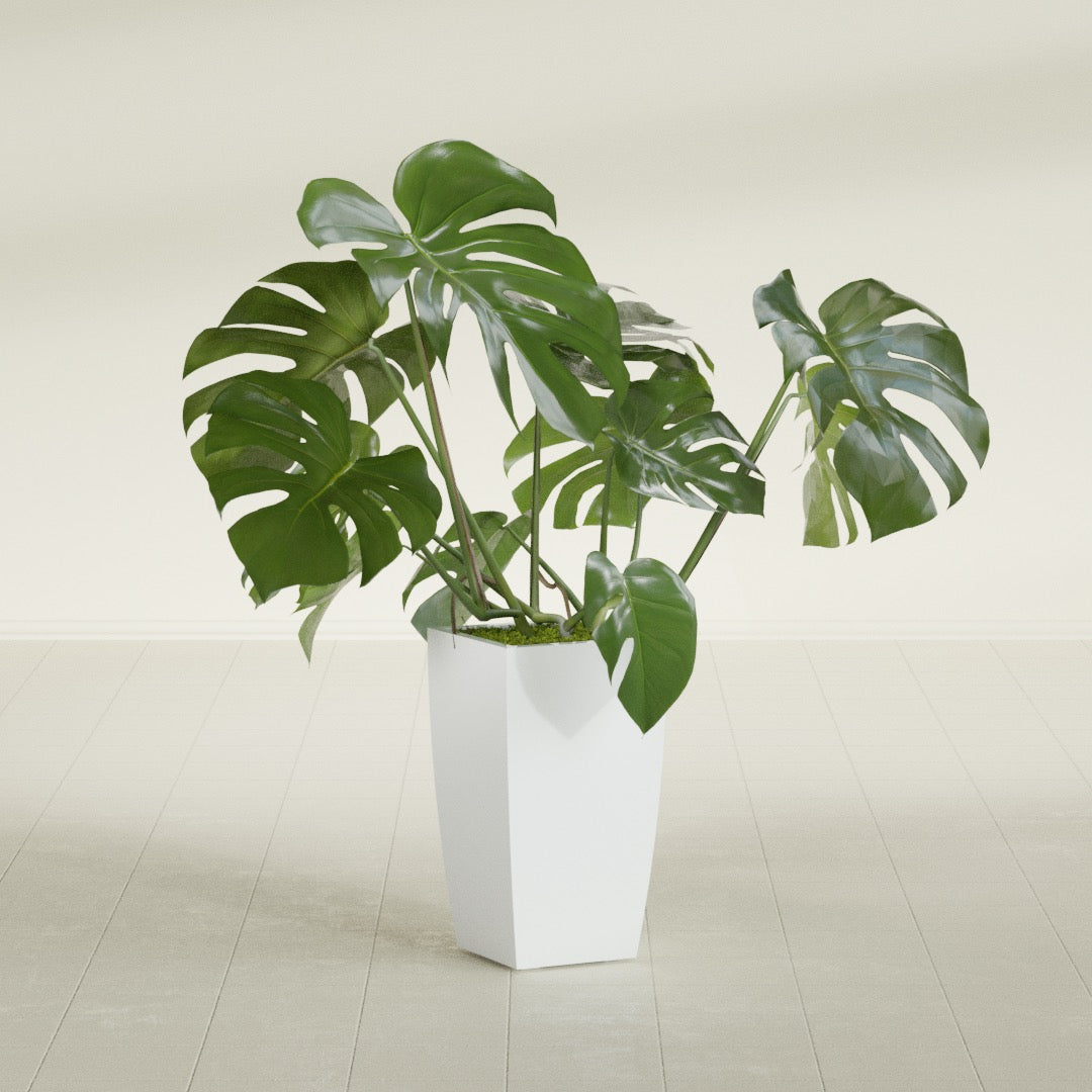 Toulan Medium Tall Tapered Square Fiberglass Planter - 12 in x 12 in x 22 in - Matte White - Matte White,12 in x 12 in x 22 in