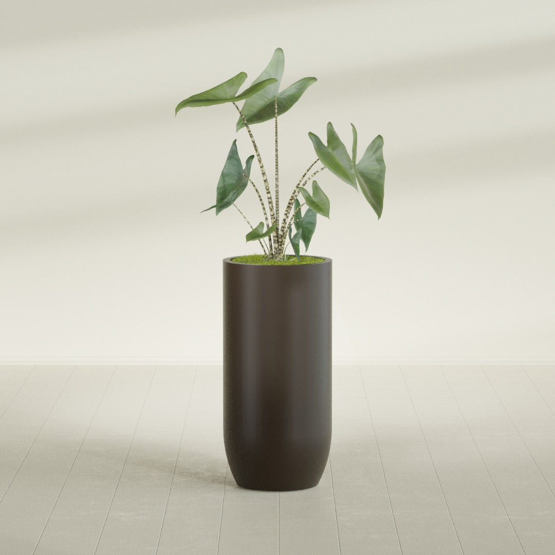 Saint Tropez Extra Large Tall Round Fiberglass Planter - 24 in x 24 in x 50 in - Matte Brown - Matte Brown,24 in x 24 in x 50 in