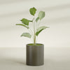 Rio Grande Medium Round Fiberglass Planter - 18 in x 18 in x 20 in - Matte Bronze - Matte Bronze,18 in x 18 in x 20 in