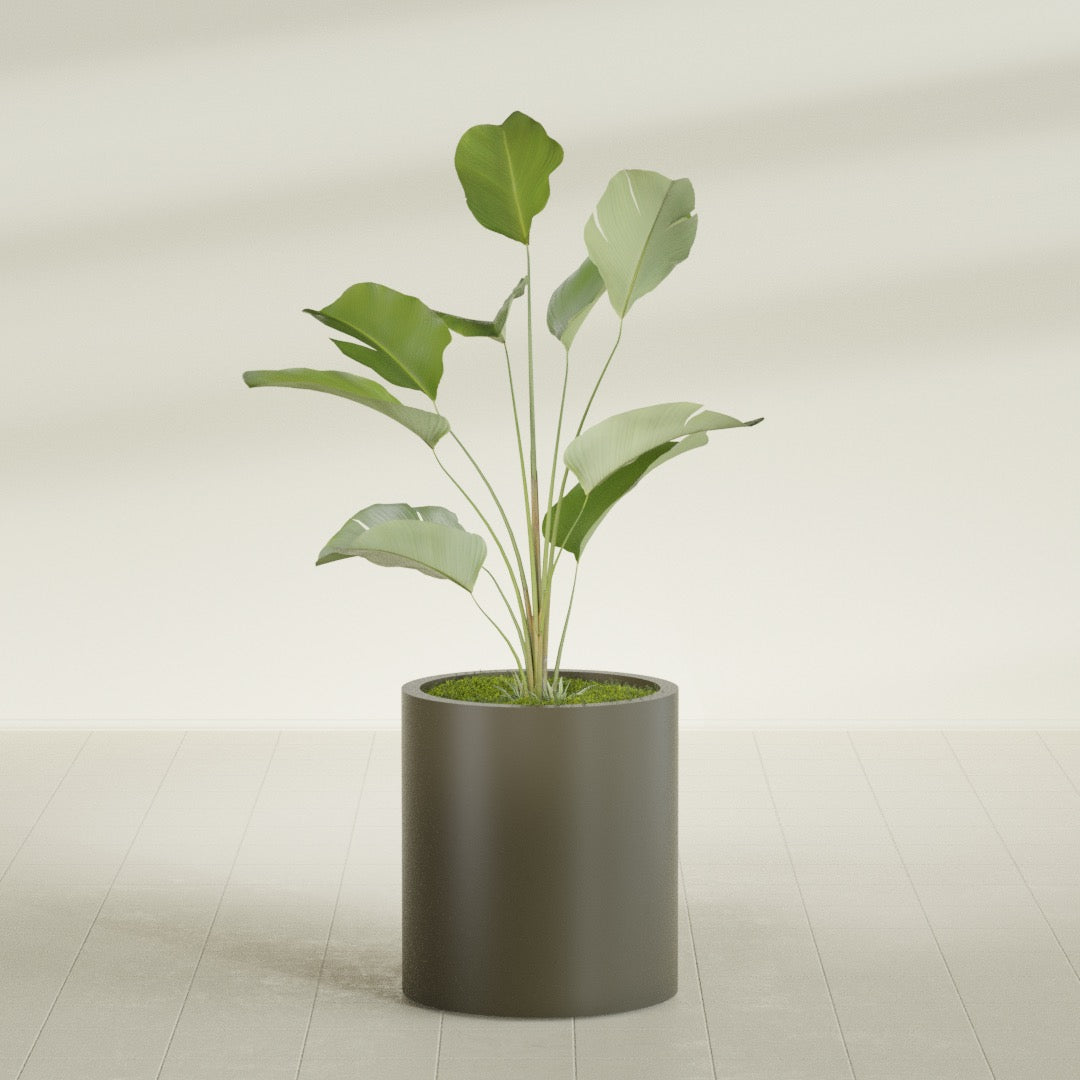 Rio Grande Medium Round Fiberglass Planter - 18 in x 18 in x 20 in - Matte Bronze - Matte Bronze,18 in x 18 in x 20 in