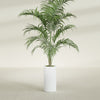 Corry Medium Tall Cylinder Fiberglass Planter - 10 in x 10 in x 20 in - Matte White - Matte White,10 in x 10 in x 20 in