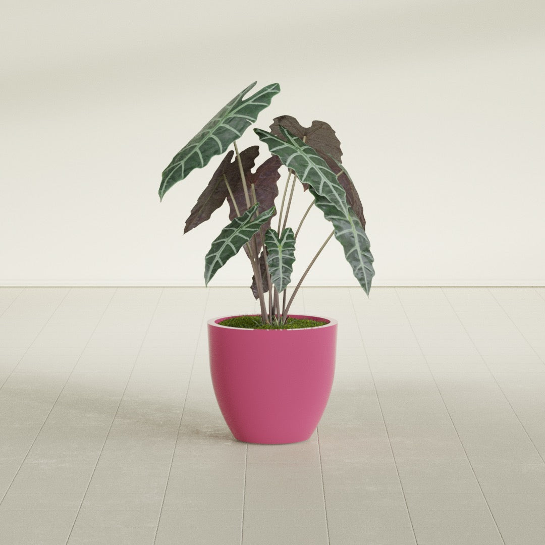 Wannsee Medium Round Fiberglass Planter - 22 in x 22 in x 19 in - Gloss Pink Violet - Gloss Pink Violet,22 in x 22 in x 19 in