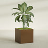 Montroy Large Cube Square Fiberglass Planter - 36 in x 36 in x 36 in - Metallic Bronze - Metallic Bronze,36 in x 36 in x 36 in