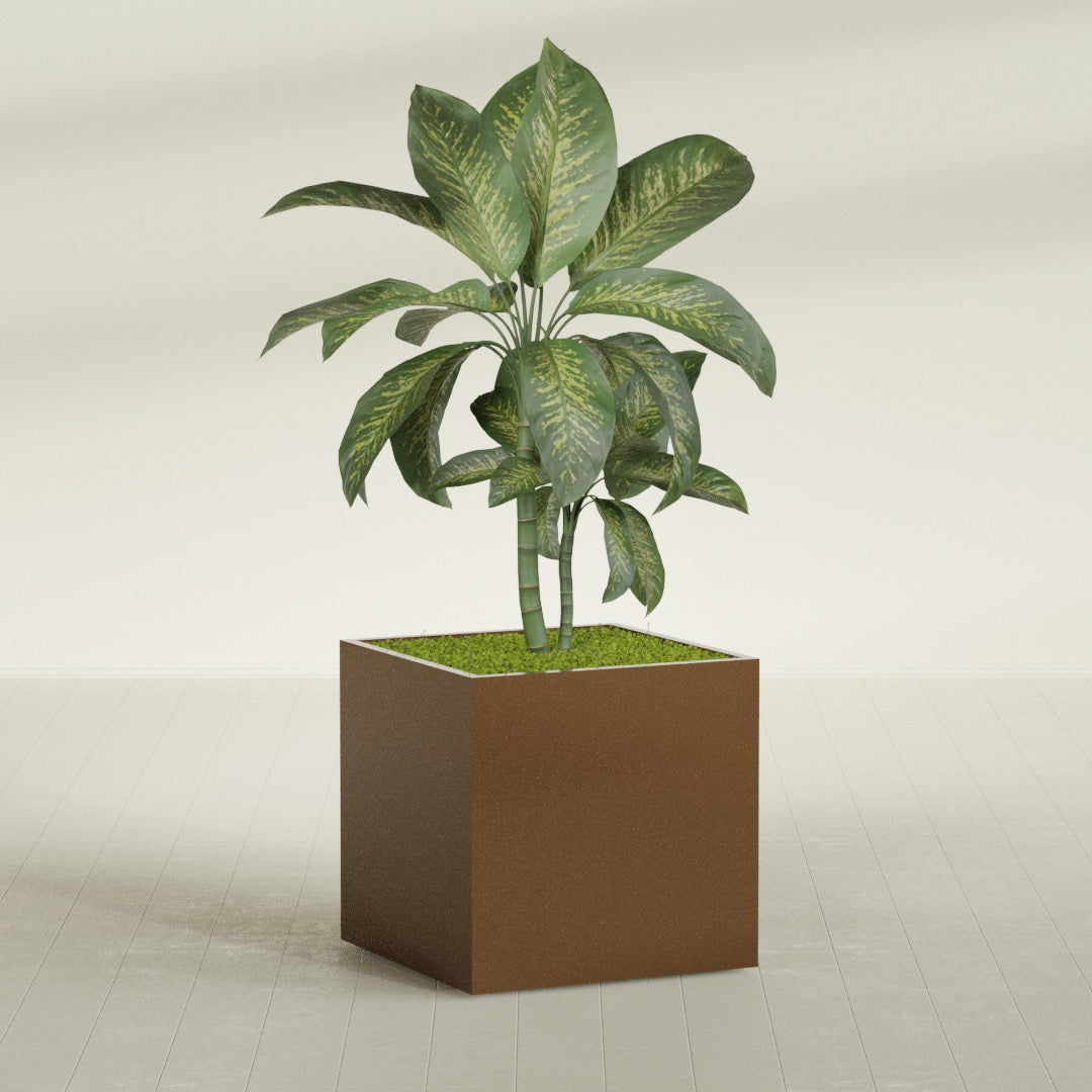 Montroy Large Cube Square Fiberglass Planter - 36 in x 36 in x 36 in - Metallic Bronze - Metallic Bronze,36 in x 36 in x 36 in