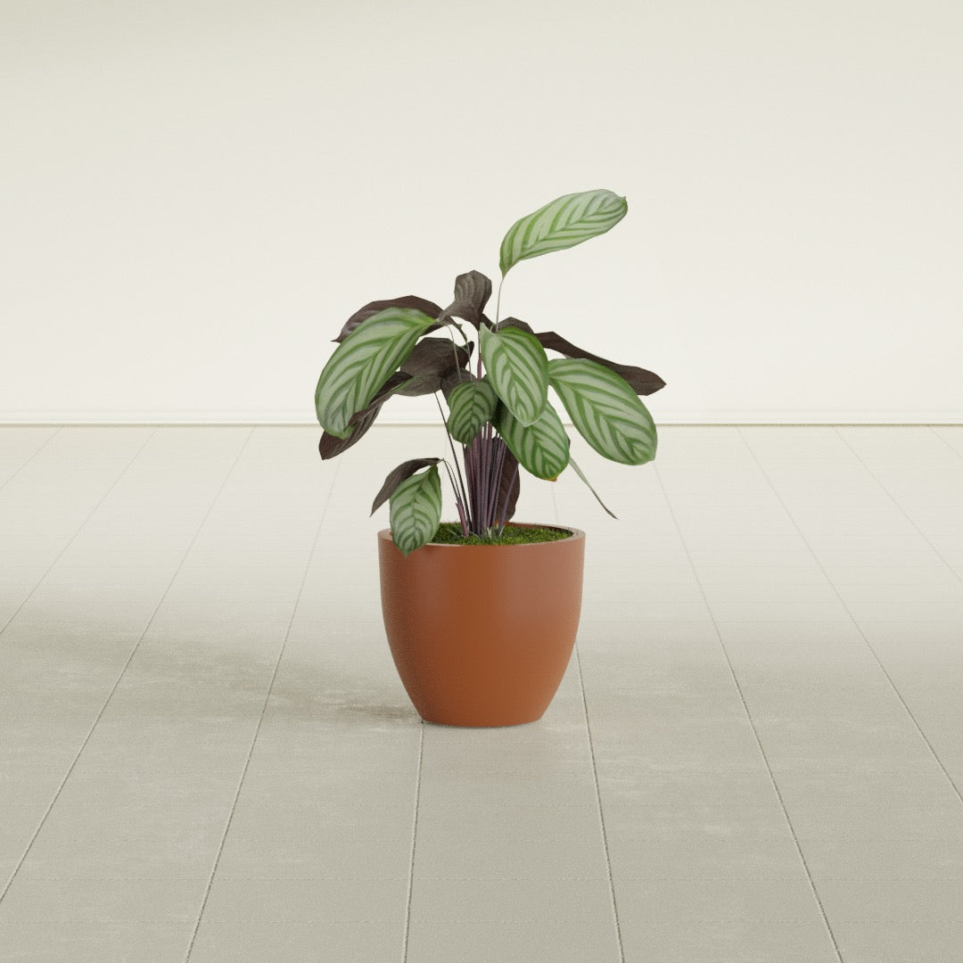 Wannsee Small Round Fiberglass Planter - 15 in x 15 in x 13 in - Matte Terracotta - Matte Terracotta,15 in x 15 in x 13 in