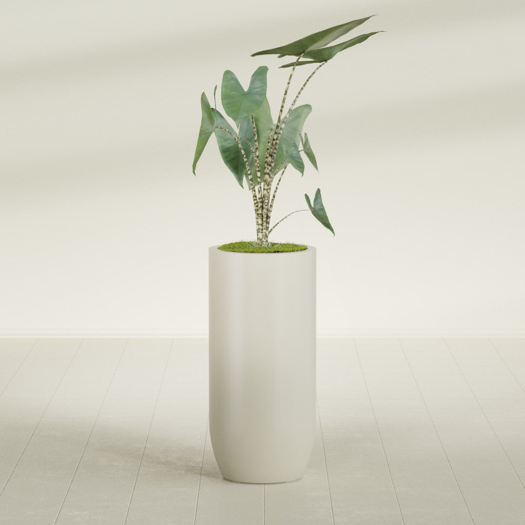 Saint Tropez Large Tall Round Fiberglass Planter - 20 in x 20 in x 43 in - Satin Beige - Satin Beige,20 in x 20 in x 43 in
