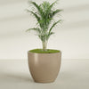 Wannsee Extra Large Round Fiberglass Planter - 50 in x 50 in x 44 in - Metallic Gold - Metallic Gold,50 in x 50 in x 44 in