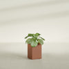 Miami Small Rectangle Fiberglass Planter - 12 in x 12 in x 18 in - Matte Terracotta - Matte Terracotta,12 in x 12 in x 18 in