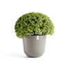 Oslo Medium Round Planter - 25.5 in x 25.5 in x 22.3 in - Taupe - Taupe,25.5 in x 25.5 in x 22.25 in,Planter Only