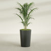 Tegel Medium Round Fiberglass Planter - 18 in x 18 in x 26 in - Matte Charcoal - Matte Charcoal,18 in x 18 in x 26 in