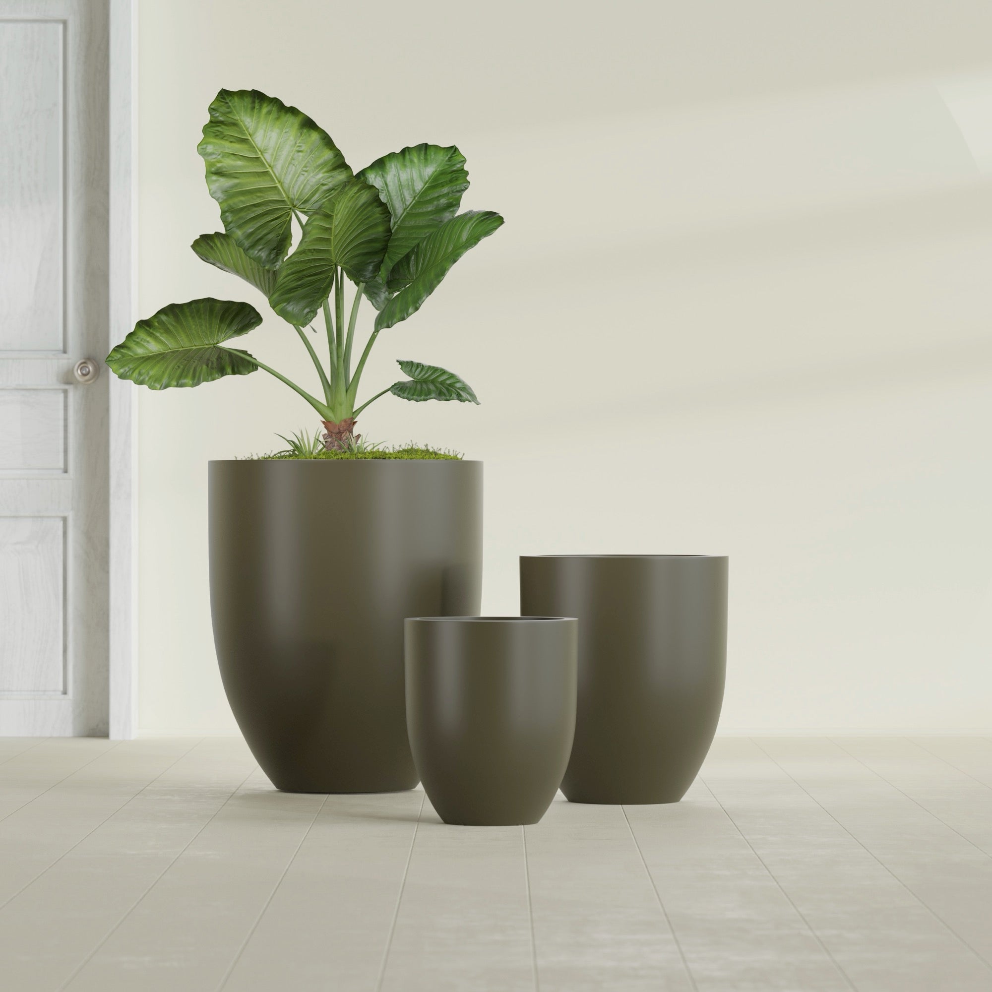 Valencia Medium Round Fiberglass Planter - 20 in x 20 in x 23 in - Matte Bronze - Matte Bronze,20 in x 20 in x 23 in