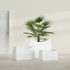 Seoul Large Curved Abstract Fiberglass Planter - 36 in x 16 in x 24 in - Matte White - Matte White,36 in x 16 in x 24 in