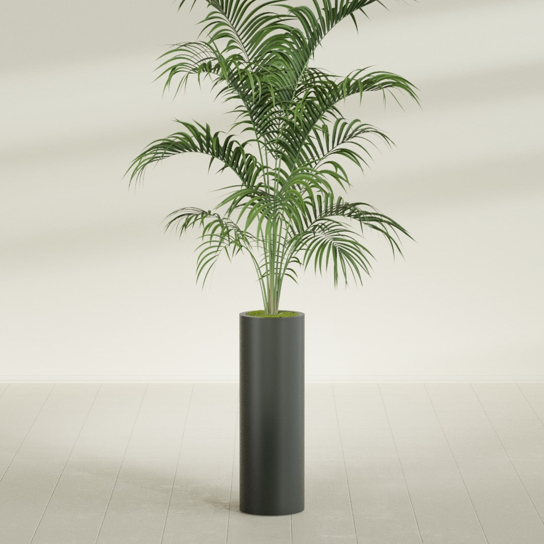 Corry Large Tall Cylinder Fiberglass Planter - 10 in x 10 in x 30 in - Matte Charcoal - Matte Charcoal,10 in x 10 in x 30 in