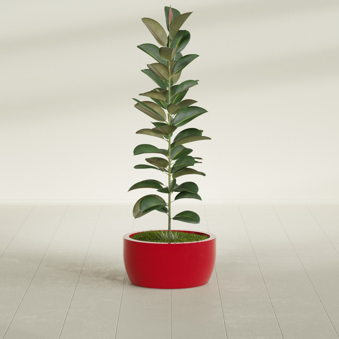 Casablanca Medium Round Low Bowl Fiberglass Planter - 20 in x 20 in x 10 in - Gloss Red - Gloss Red,20 in x 20 in x 10 in