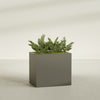 Brisbane Large Rectangle Fiberglass Planter - 36 in x 24 in x 32 in - Matte Bronze - Matte Bronze,36 in x 24 in x 32 in
